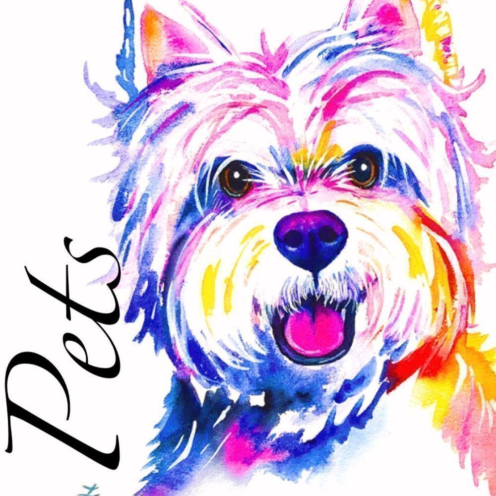 Pet Related Items  